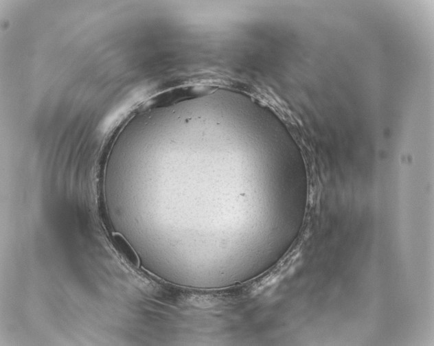 X0000088910341200706291535