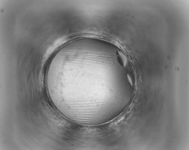 X0000088910343200706291535