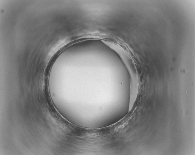 X0000088910344200706291535