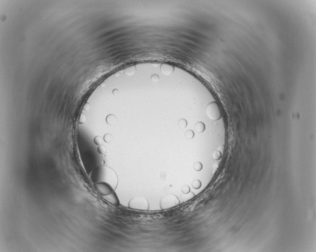 X0000088910345200706291535