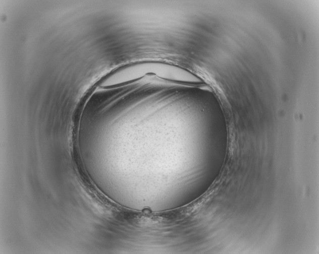 X0000088910346200706291535