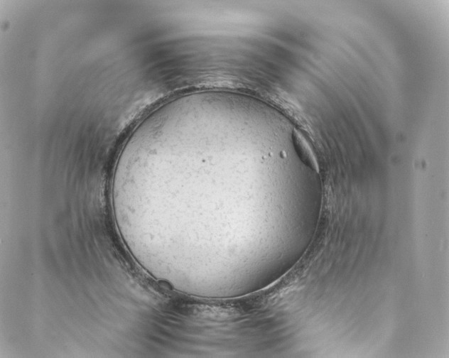 X0000088910347200706291535