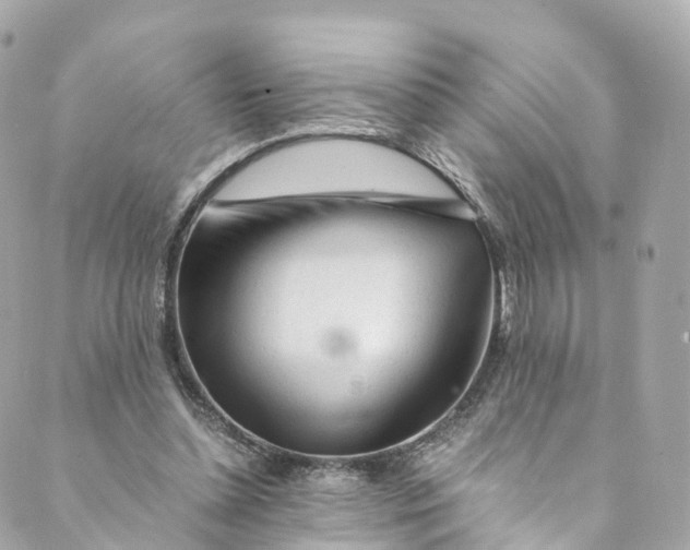 X0000088910348200706291535