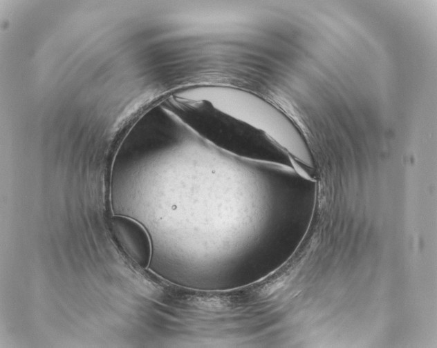 X0000088910349200706291535