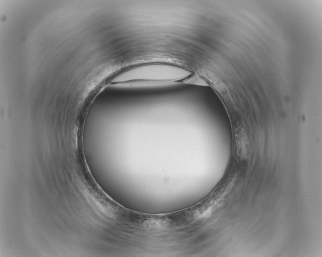 X0000088910350200706291535