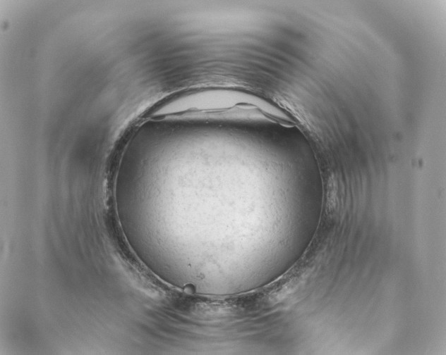 X0000088910351200706291535