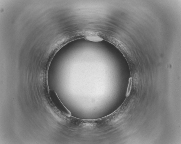 X0000088910352200706291535