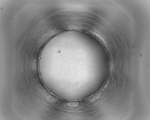 X0000088910353200706291535