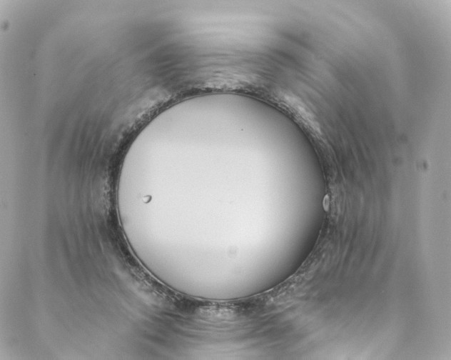 X0000088910354200706291535