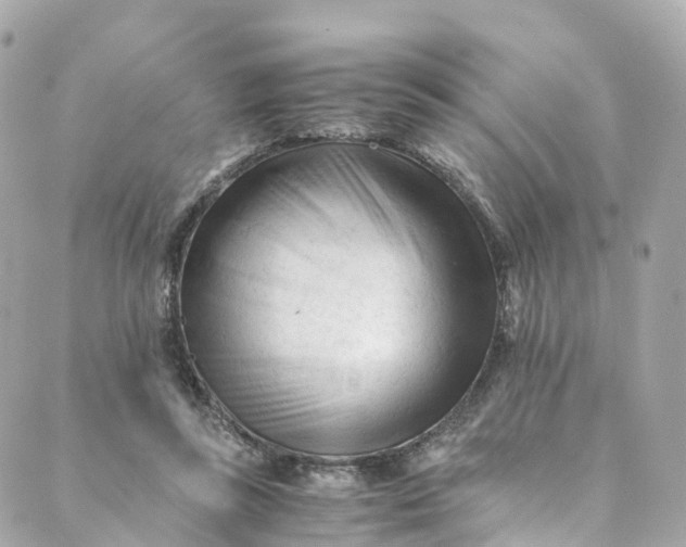 X0000088910355200706291535