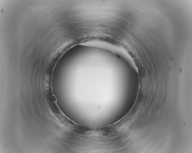 X0000088910356200706291535