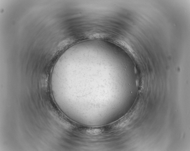 X0000088910357200706291535