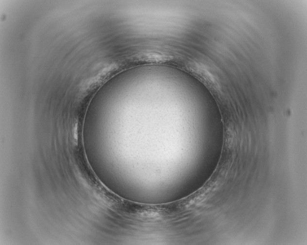 X0000088910358200706291535