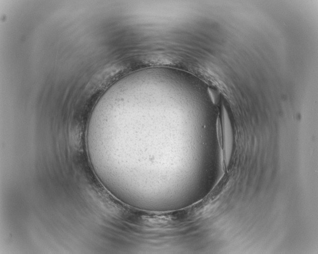 X0000088910359200706291535