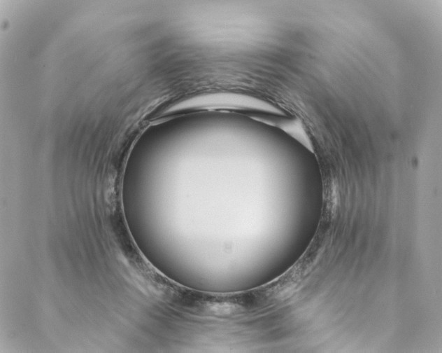 X0000088910360200706291535