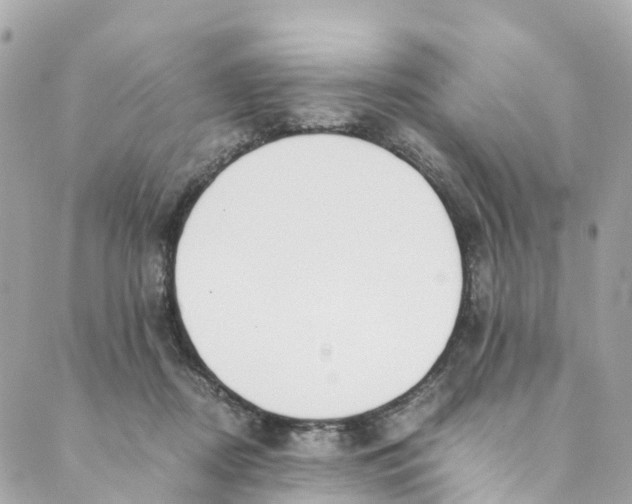 X0000088910362200706291535