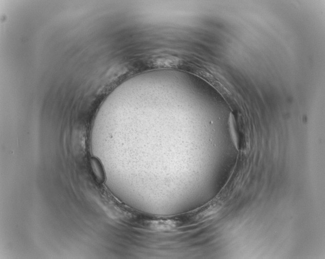 X0000088910363200706291535