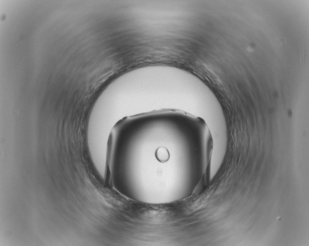 X0000088910364200706291535