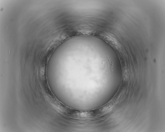 X0000088910365200706291535