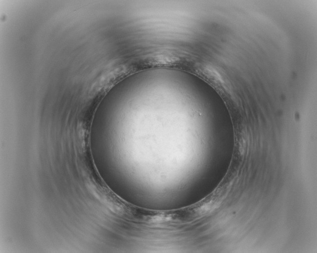 X0000088910366200706291535