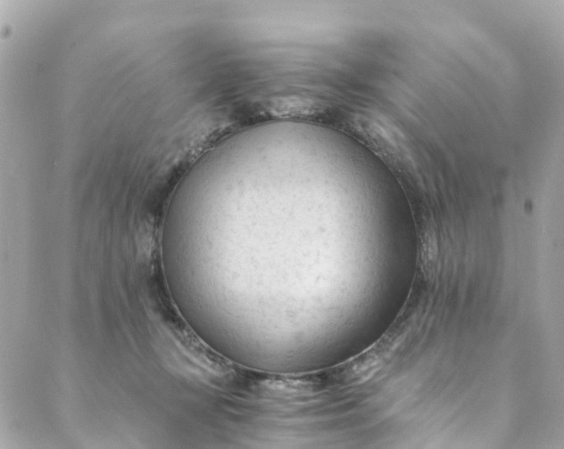 X0000088910367200706291535