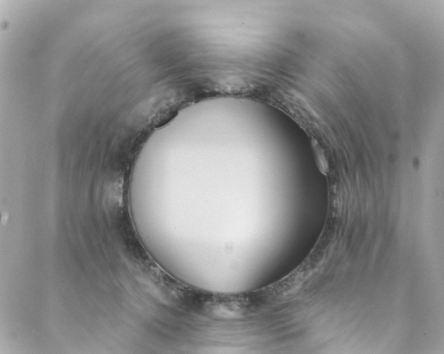 X0000088910368200706291535