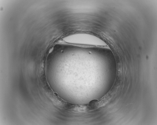 X0000088910369200706291535