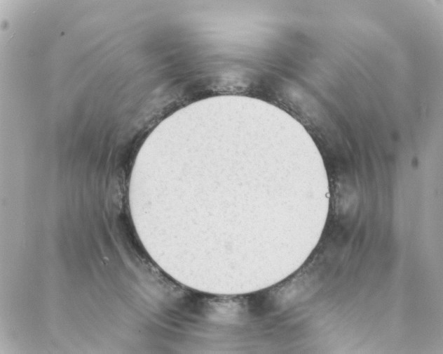 X0000088910370200706291535