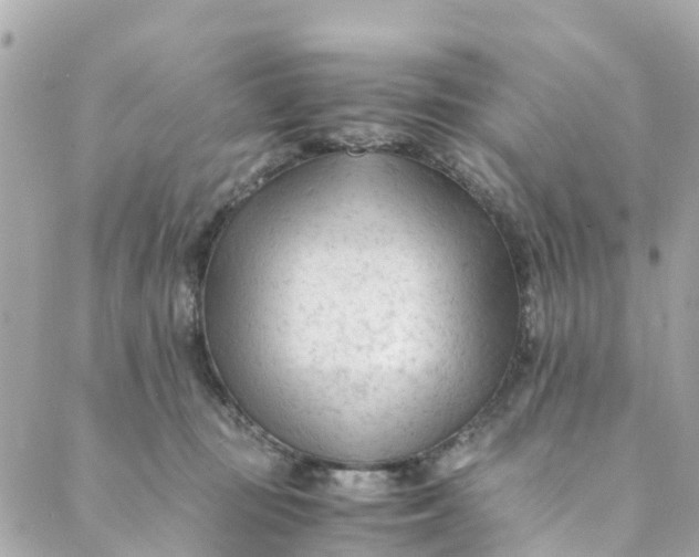 X0000088910371200706291535