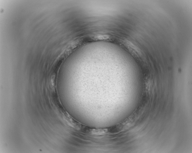 X0000088910373200706291535