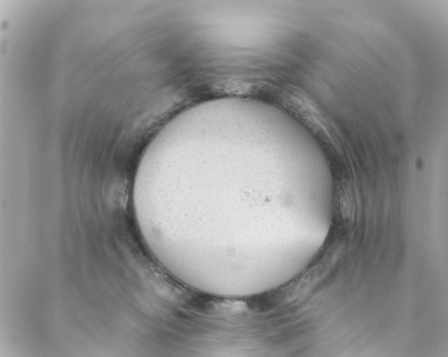 X0000088910374200706291535