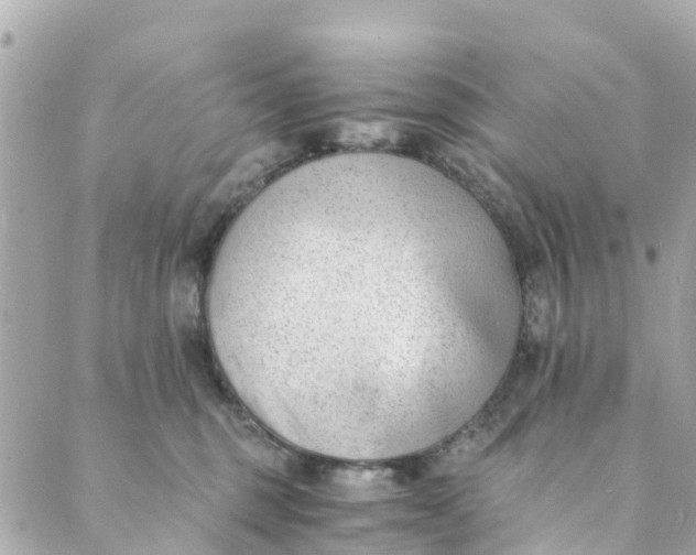 X0000088910375200706291535