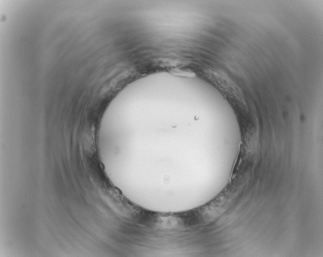 X0000088910376200706291535