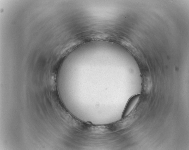 X0000088910378200706291535