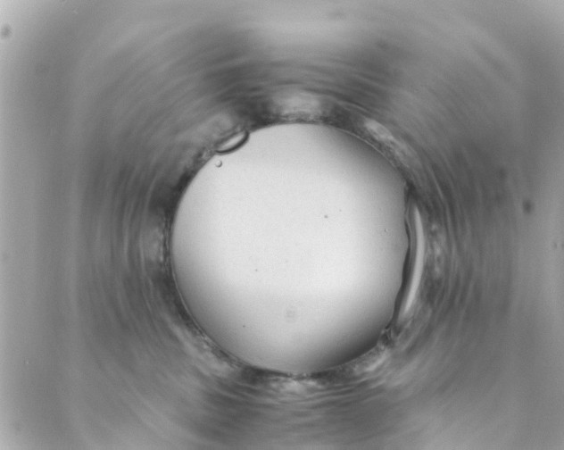 X0000088910379200706291535