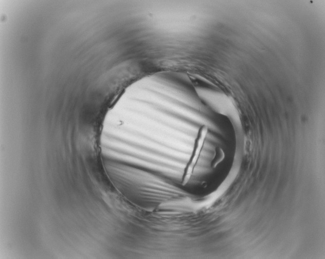 X0000088910380200706291535