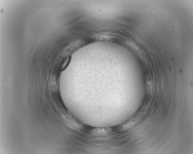 X0000088910381200706291535