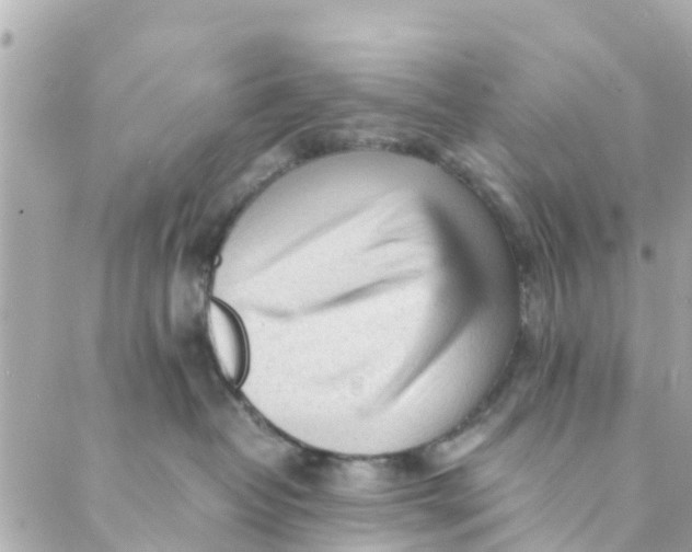 X0000088910382200706291535