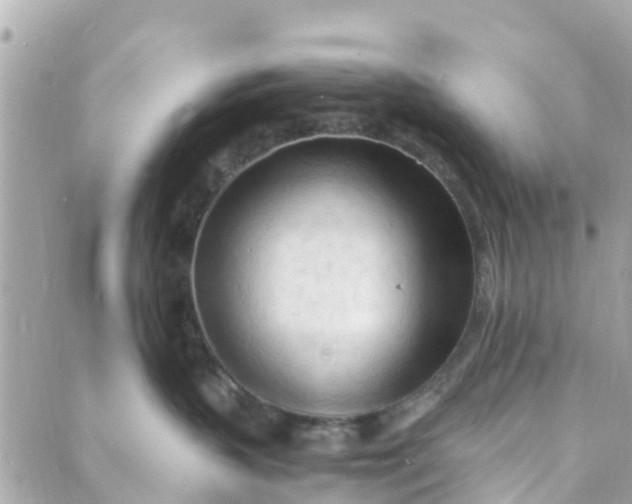 X0000088910383200706291535