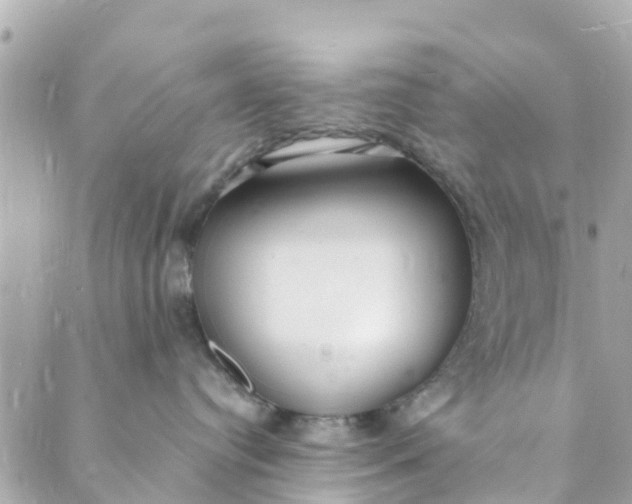 X0000088910384200706291535