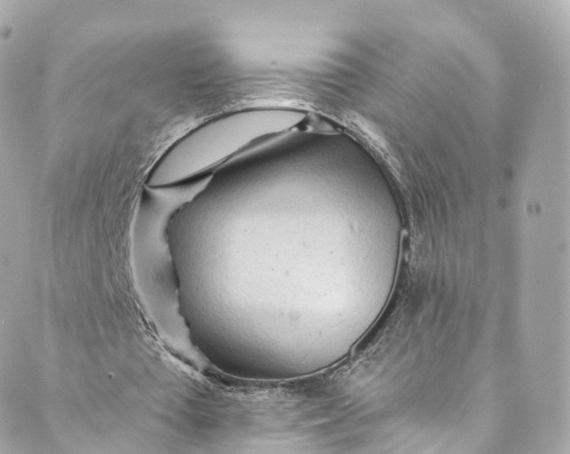 X0000088910385200706291535