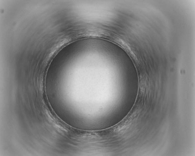 X0000088910386200706291535