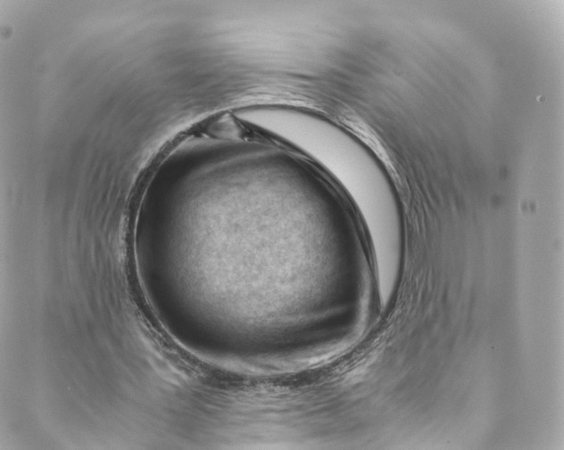 X0000088910387200706291535