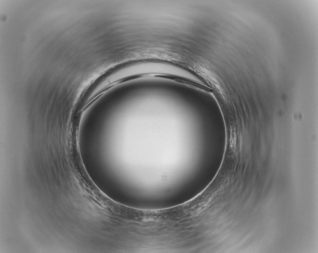 X0000088910388200706291535