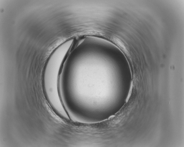 X0000088910389200706291535