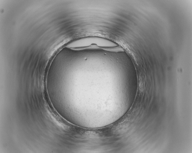 X0000088910390200706291535