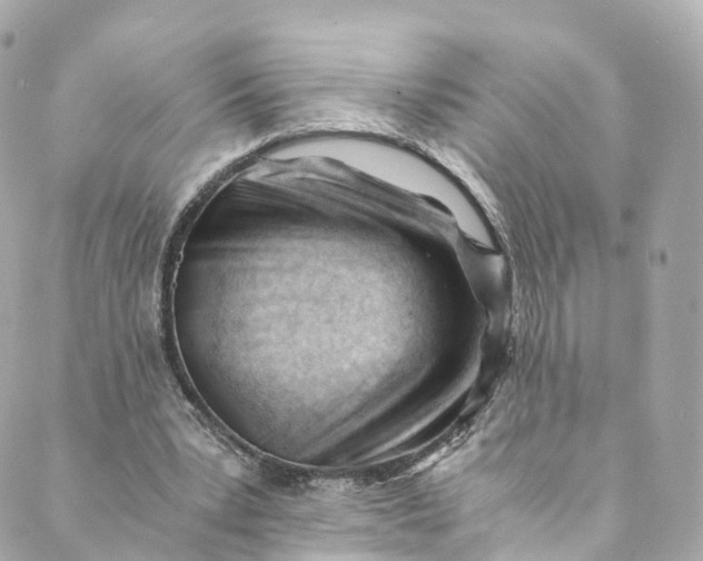 X0000088910391200706291535