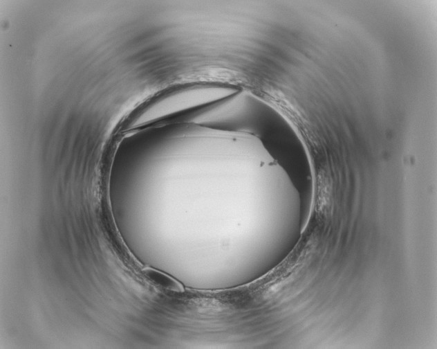 X0000088910392200706291535