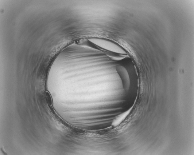 X0000088910393200706291535