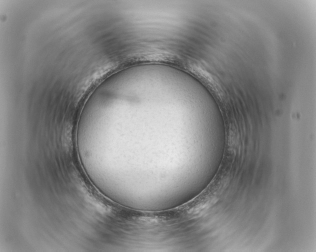 X0000088910394200706291535